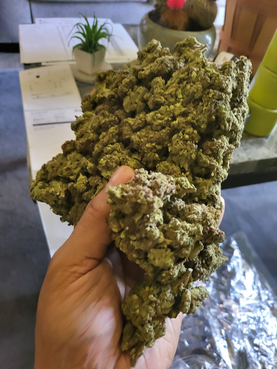 Customer photo review of Purple Octane - Bulk - Indica