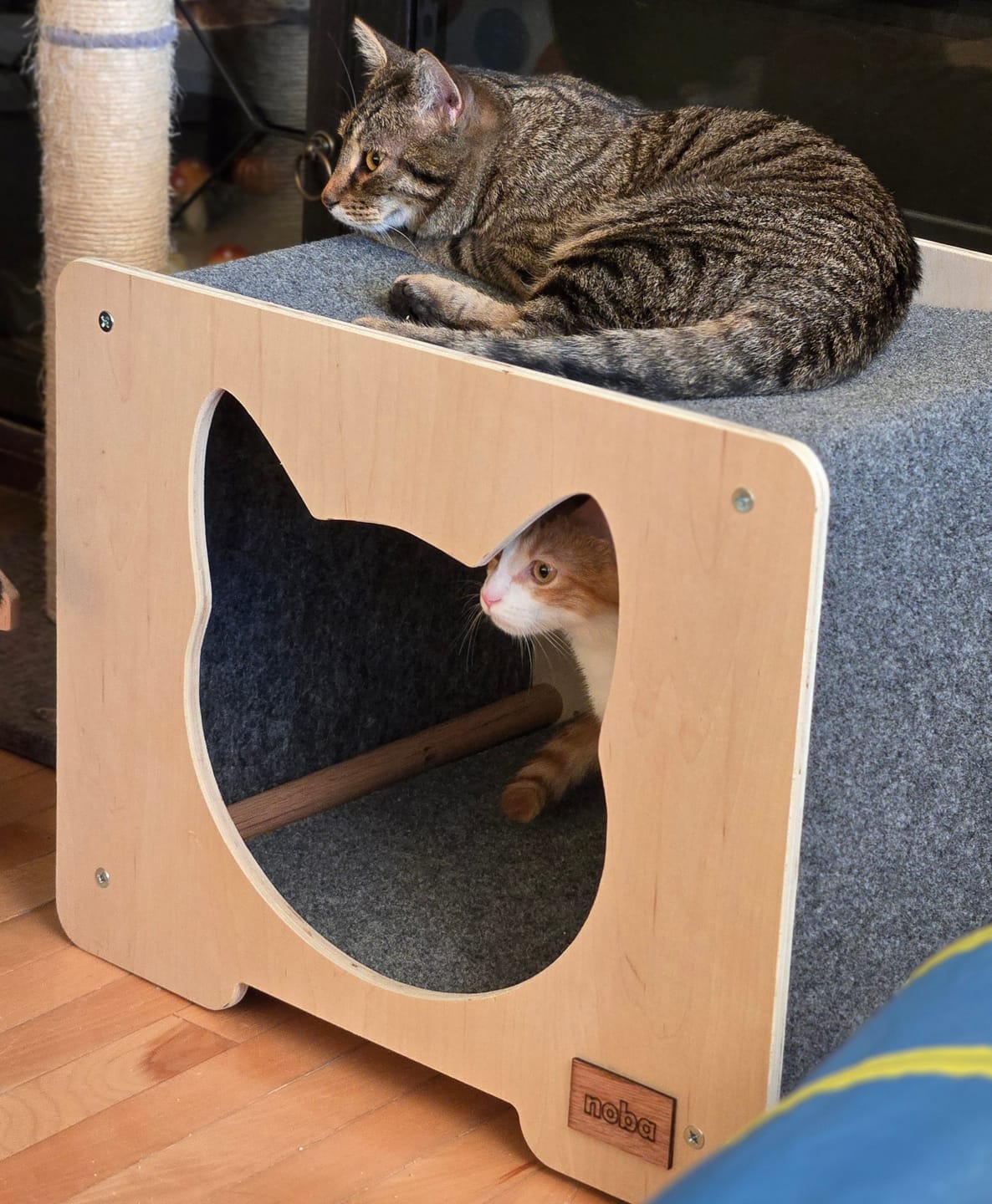 Customer photo review of The Hut Scratchable Cat Hideout