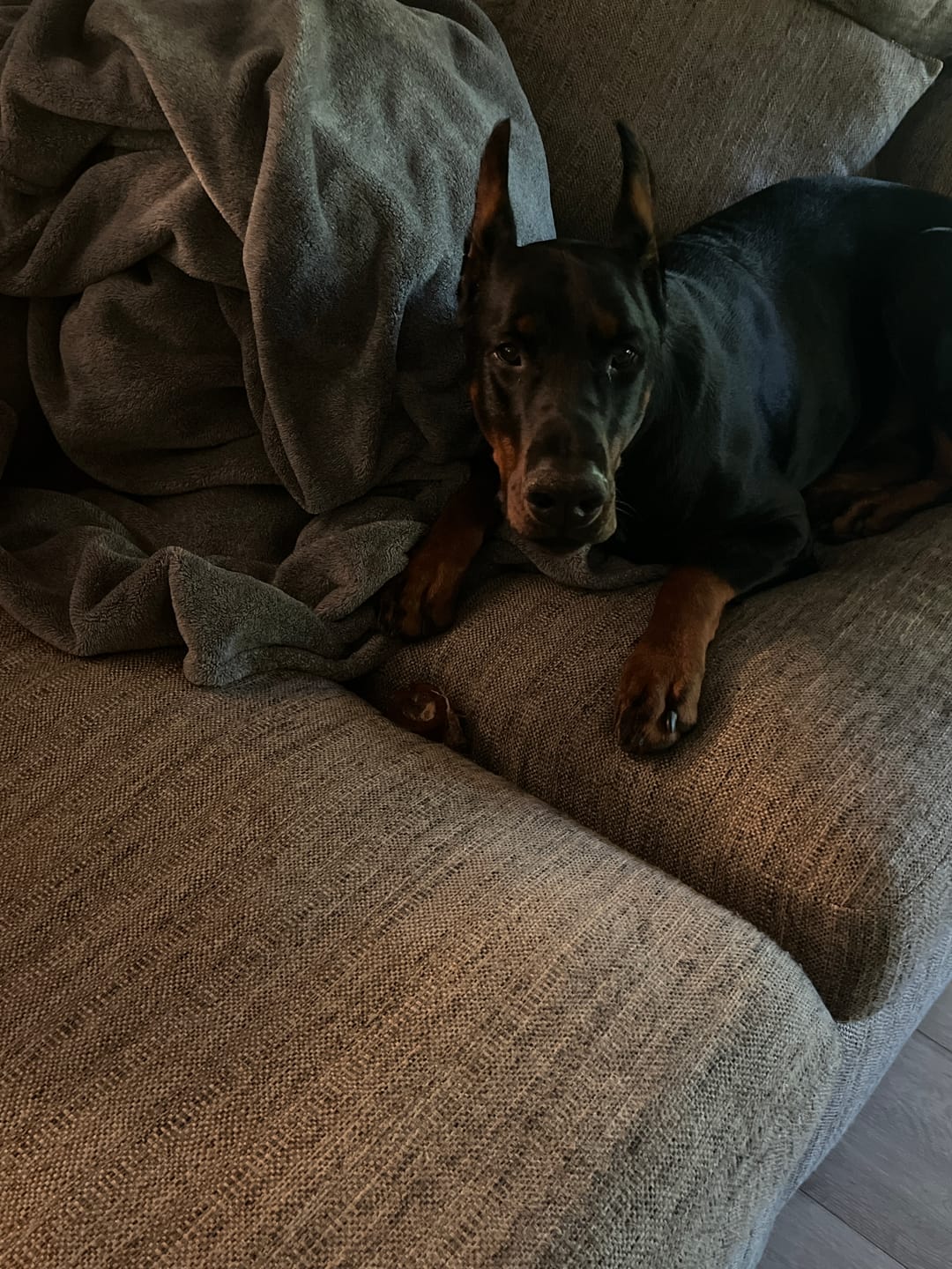 Customer photo review of Wholly Pup Gift Card