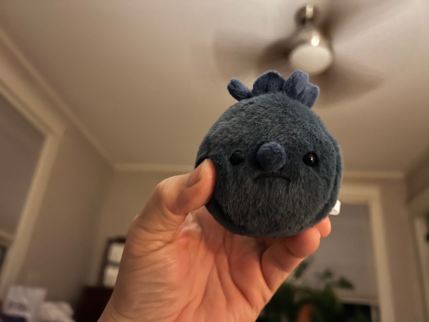 Customer photo review of Forgotten Single Blueberry