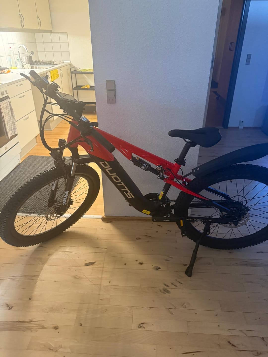 Customer photo review of DUOTTS E29 Electric Bike