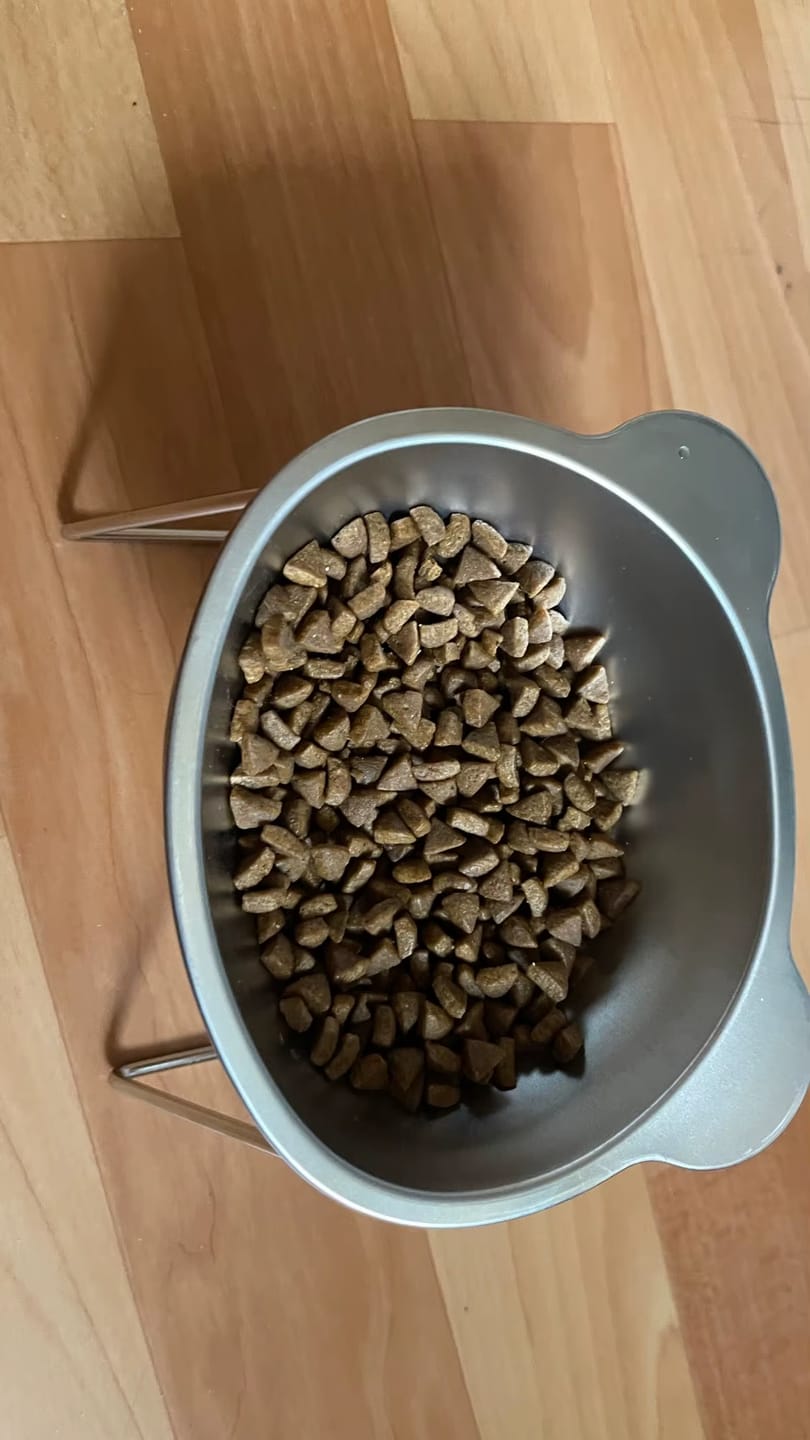 Customer photo review of ElevateBowl – Höher fressen, tiefer entspannen – entlaste die Wirbelsäule deiner Katze jeden Tag!