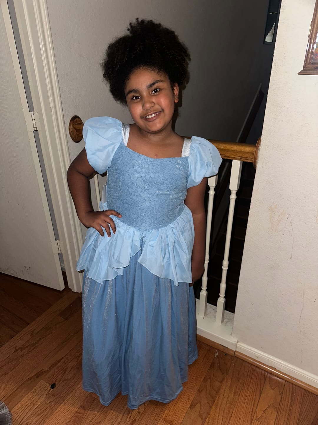 Customer photo review of Portrait Collection Cinderella Gown