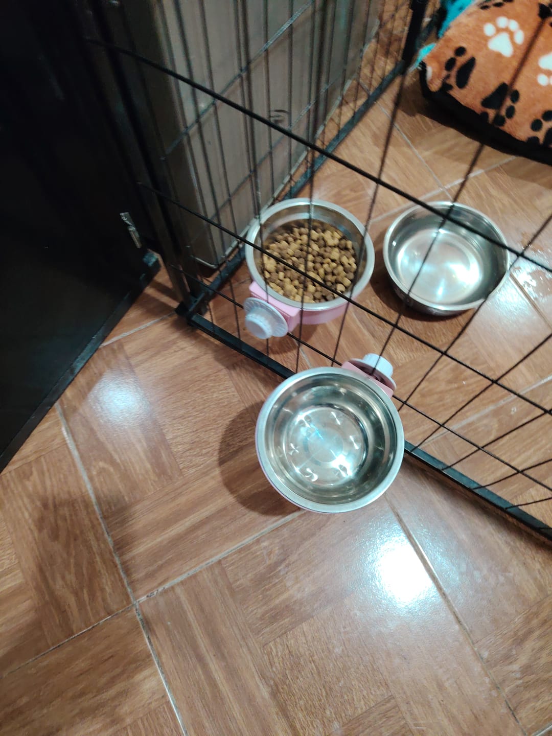 Customer photo review of CT6121 1 Pieza De Tazón Para Mascota