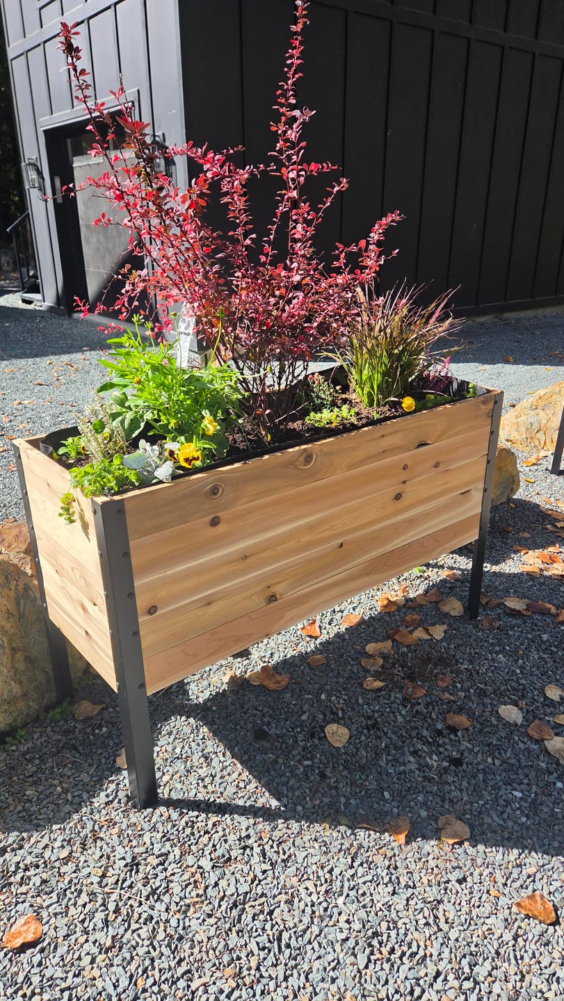 Customer photo review of 18" x 48" Raised Garden Bed - 30" TALL / Garden Grade