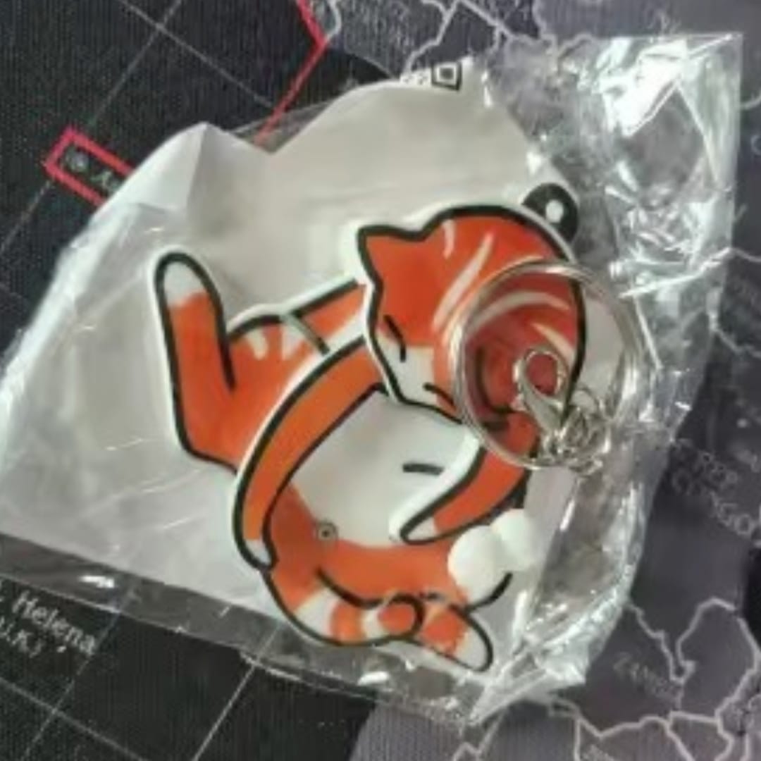 Customer photo review of Mischief Cat - Interactuve Cat Keychain