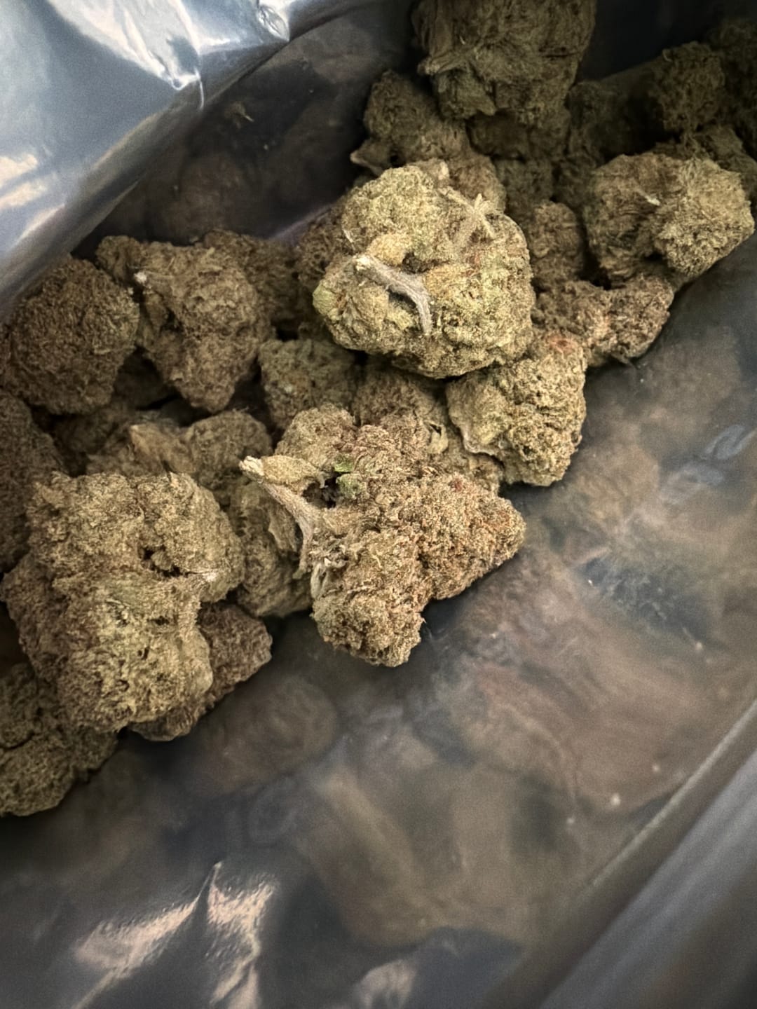 Customer photo review of ZAzooka THCA Flower