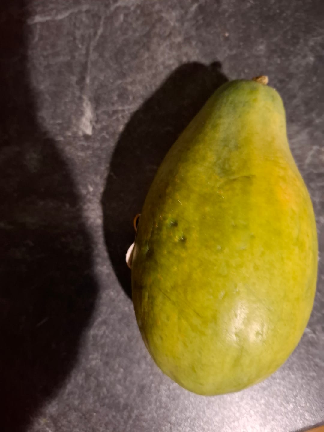 Customer photo review of Papaya Naturbelassen von Julian Wochenaktion %