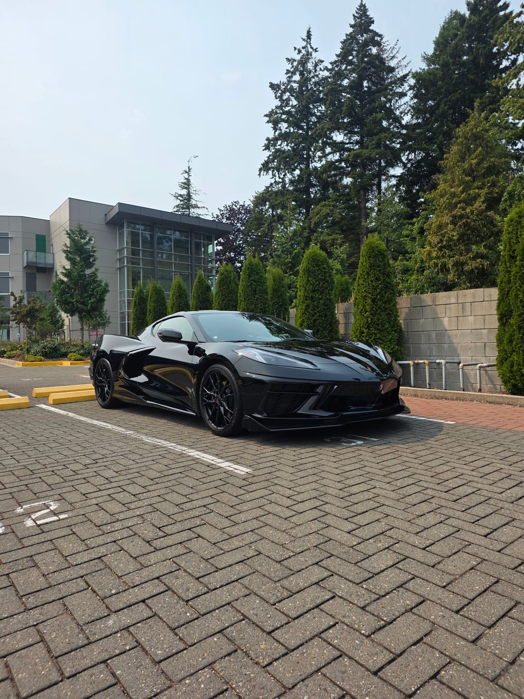 Customer photo review of 2020+ Corvette C8 5VM-Style Carbon Fiber Side Skirts with Underbody Extensions