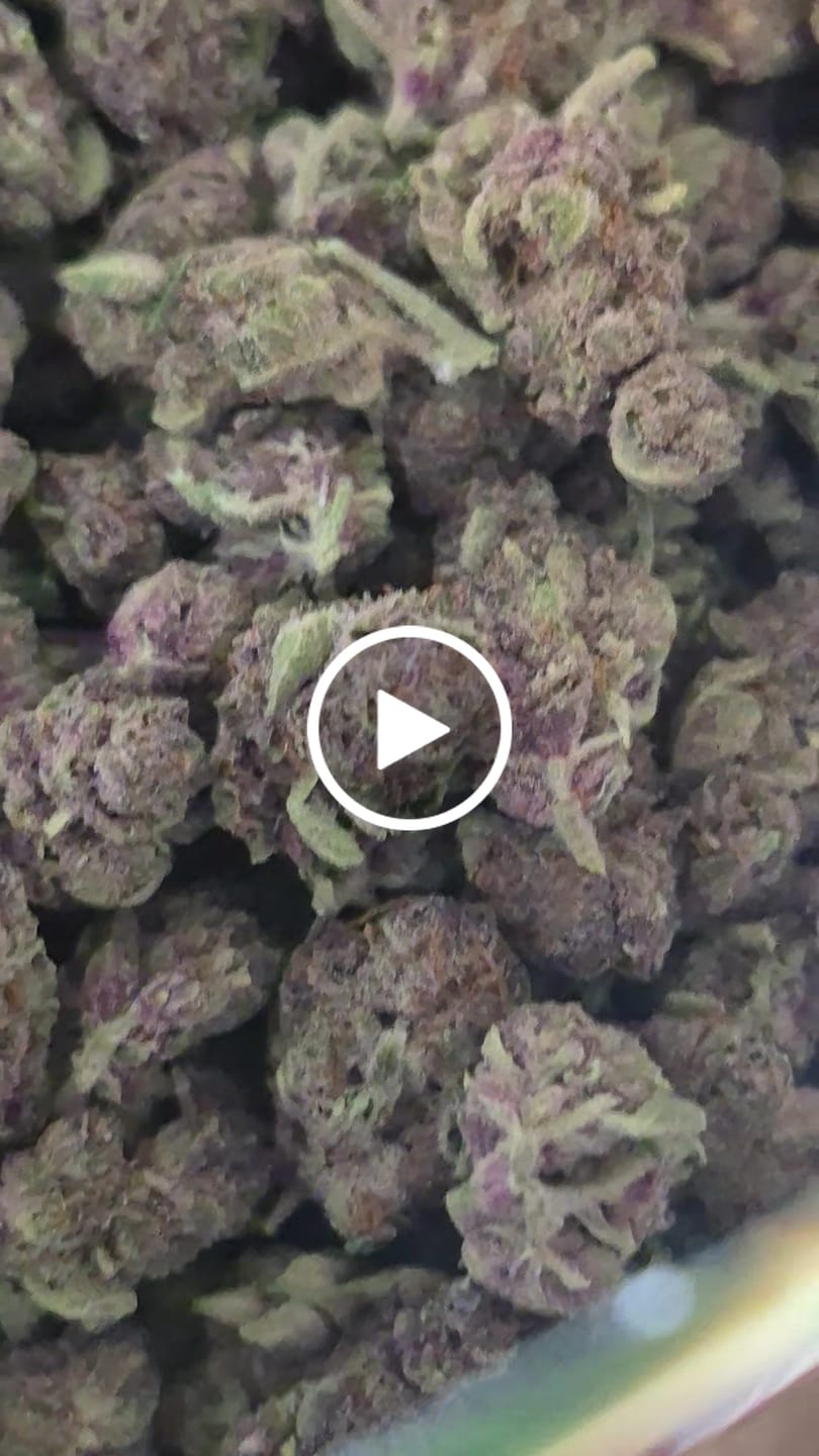 Customer video review of Tropicana Cherry THCA Smalls