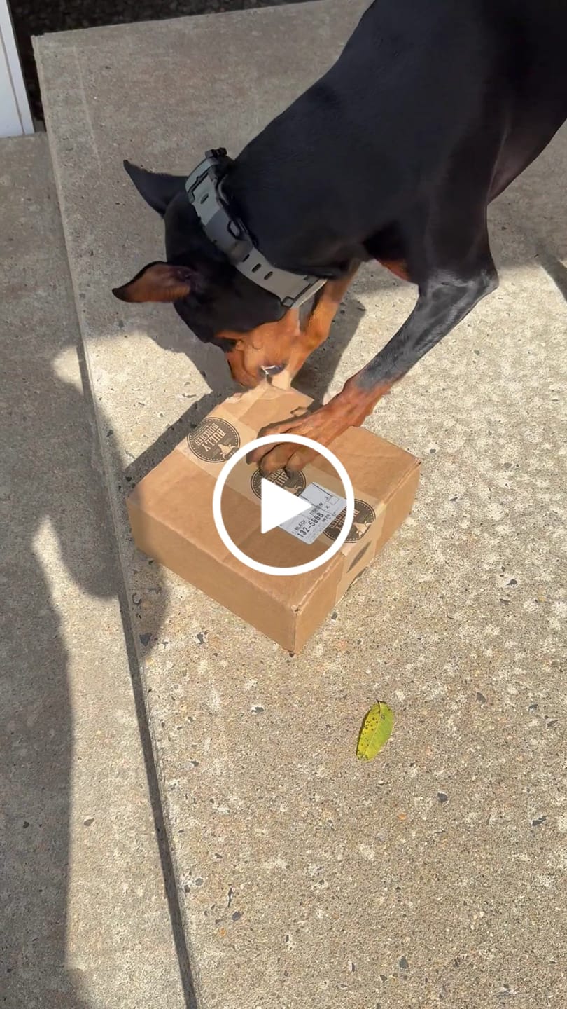 Customer video review of Himalayan Yak Chew Flavor Pack