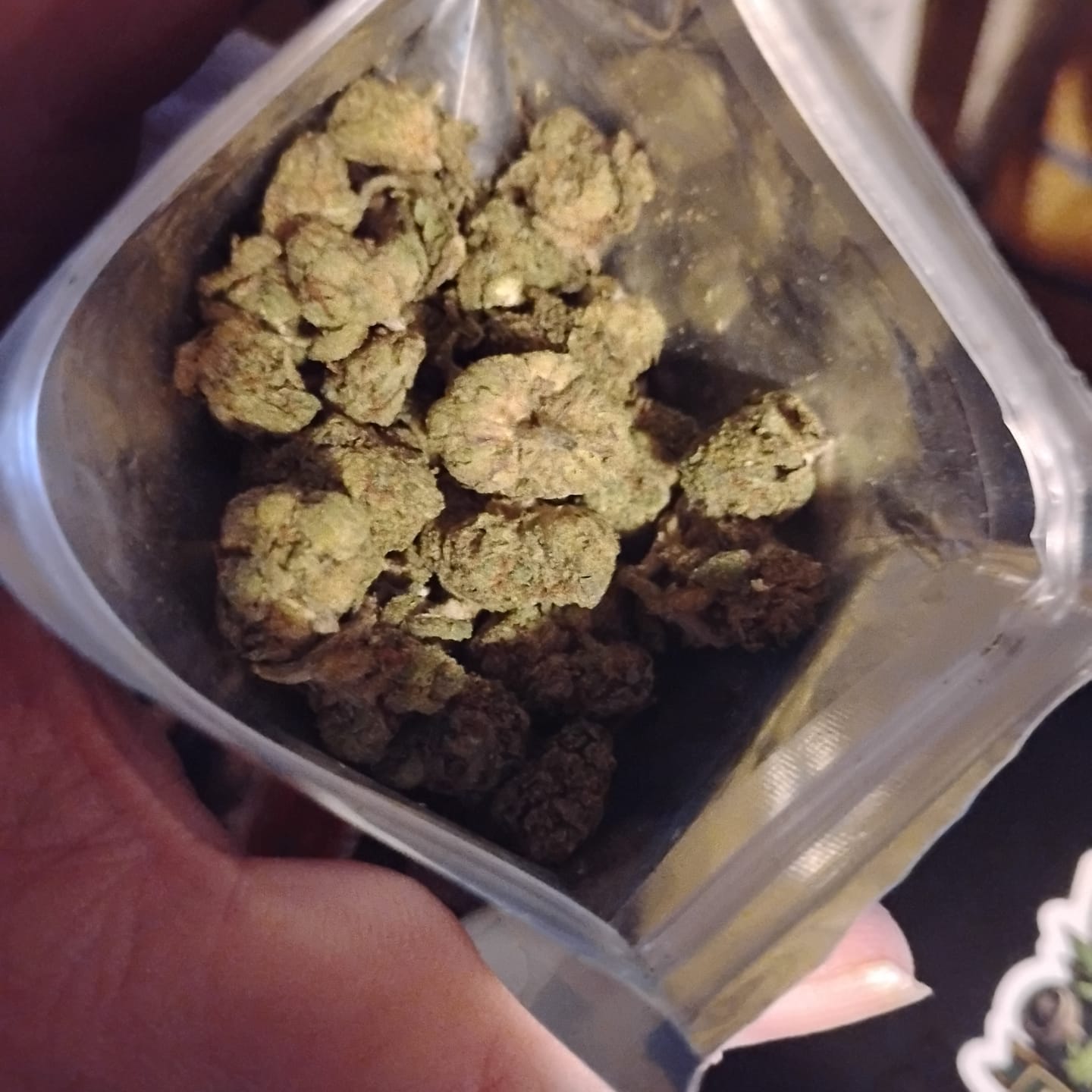 Customer photo review of Galactic Punch Exotic THCA Flower