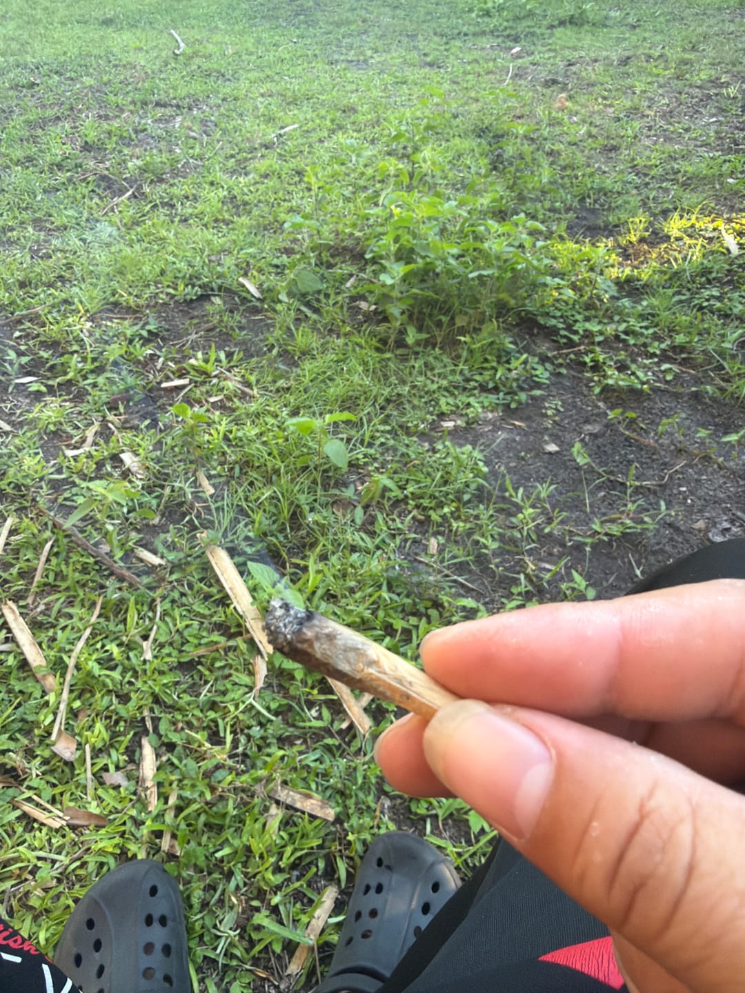 Customer photo review of Granddaddy Purple - Minis - 28 Grams - Indica