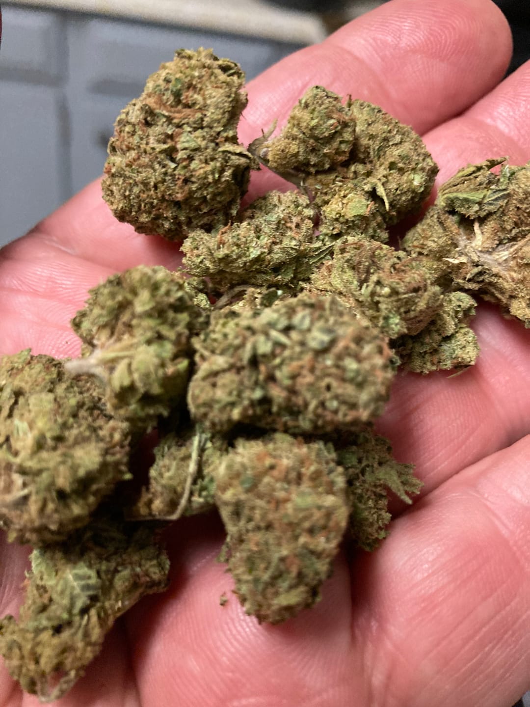 Customer photo review of Jet Fuel Gelato x Peach Rings - Bulk - Hybrid