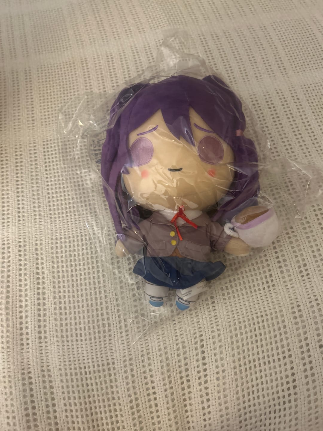 Customer photo review of Doki Doki Literature Club - Yuri Collector's Plush