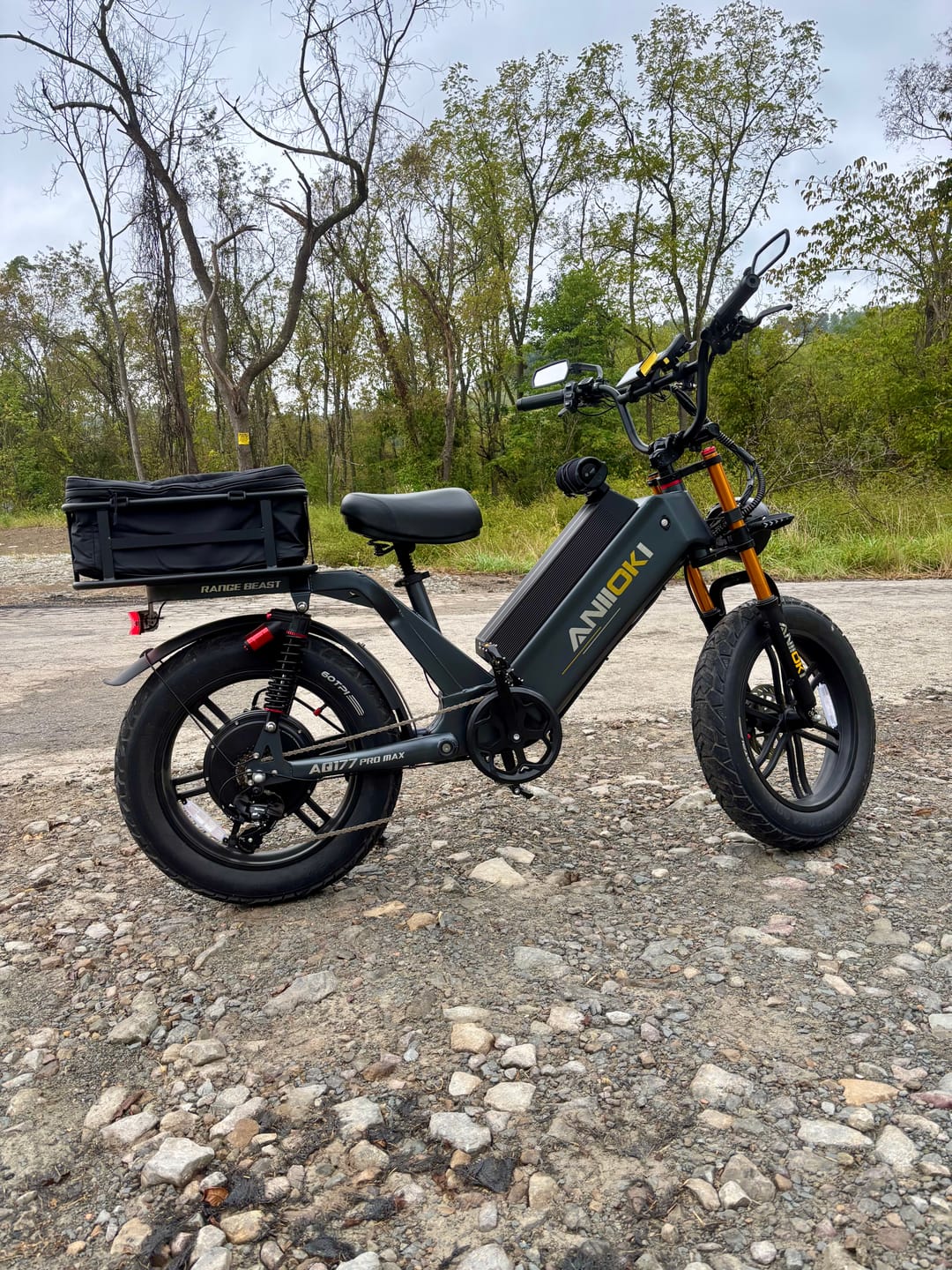 Customer photo review of AQ177 Pro Max Ultra eBikes（ Pre-order）