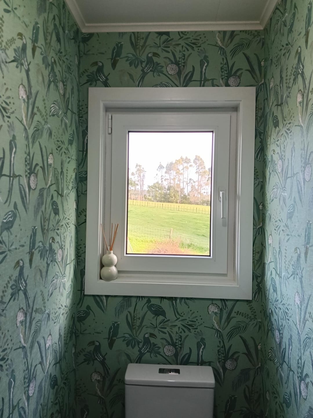 Customer photo review of Jungle Birds Vinyl Wallpaper - Green - 5 Left on sale