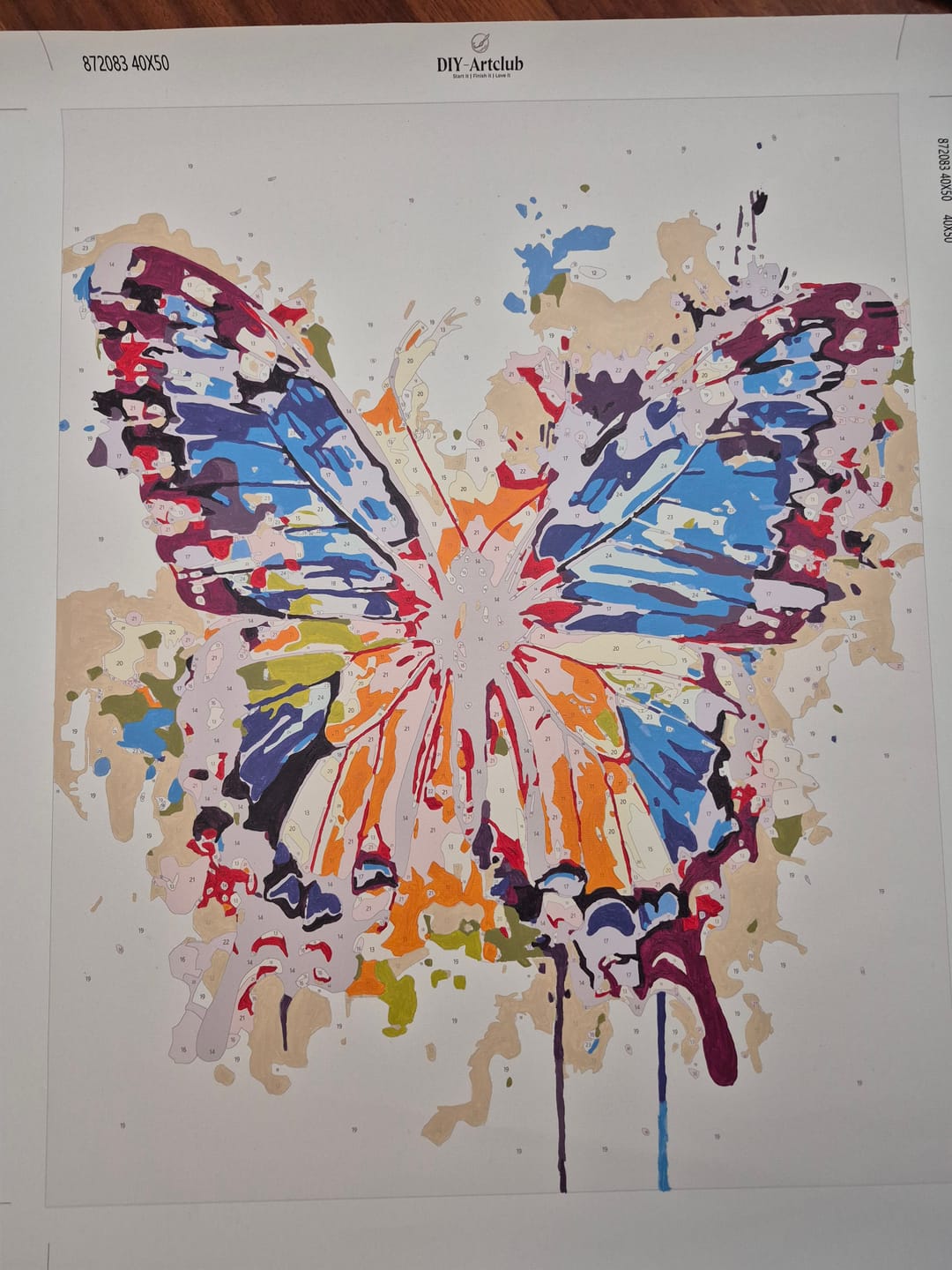 Customer photo review of Butterfly - Color splash | Paint by Numbers