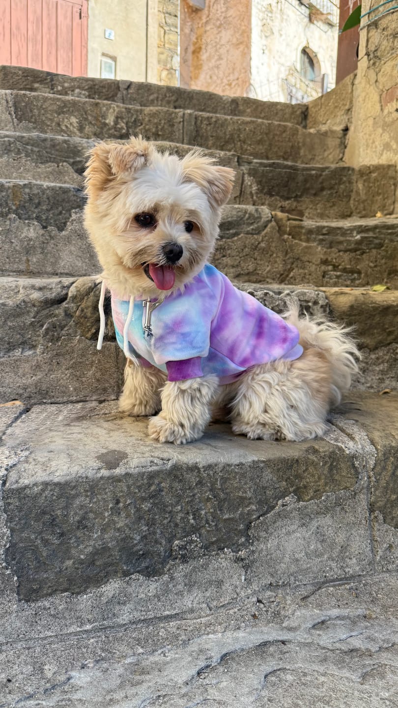 Customer photo review of Velvet Dog Hoodie - 90s Retro