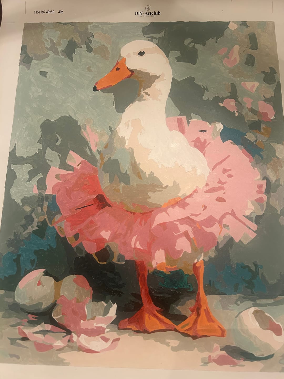 Customer photo review of The Goose Ballerina | Paint by Number