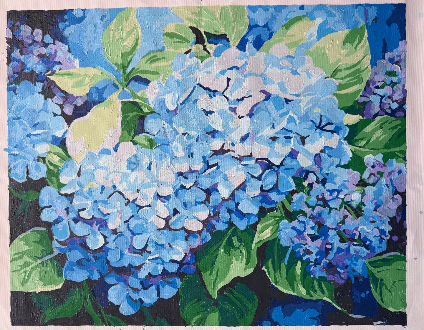 Customer photo review of Blue Hydrangea