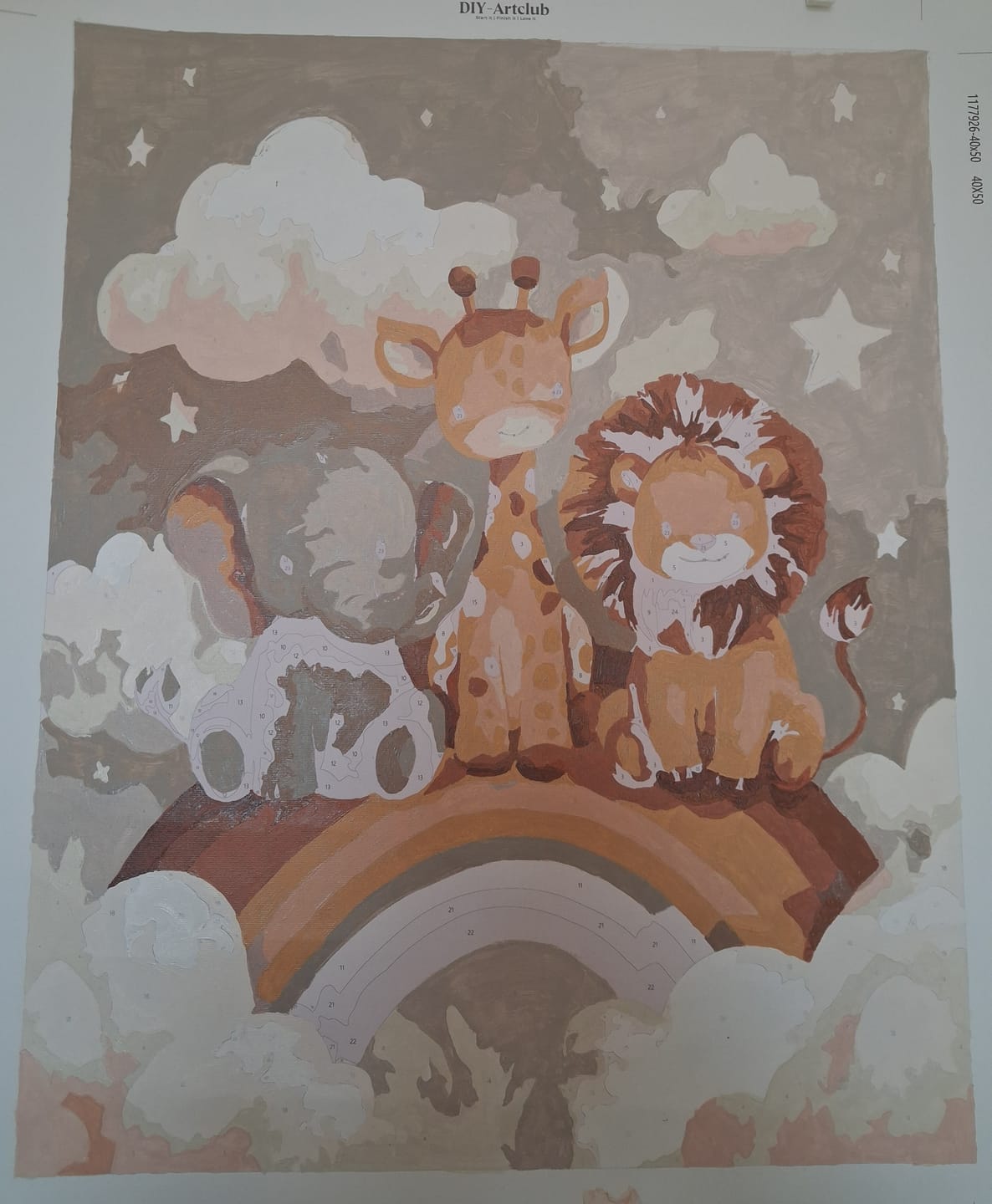 Customer photo review of Rainbow Friends | Paint by Number