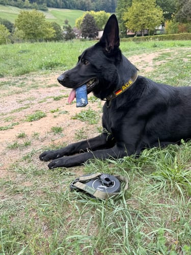 Kundenfoto 4 von Jenny R.
