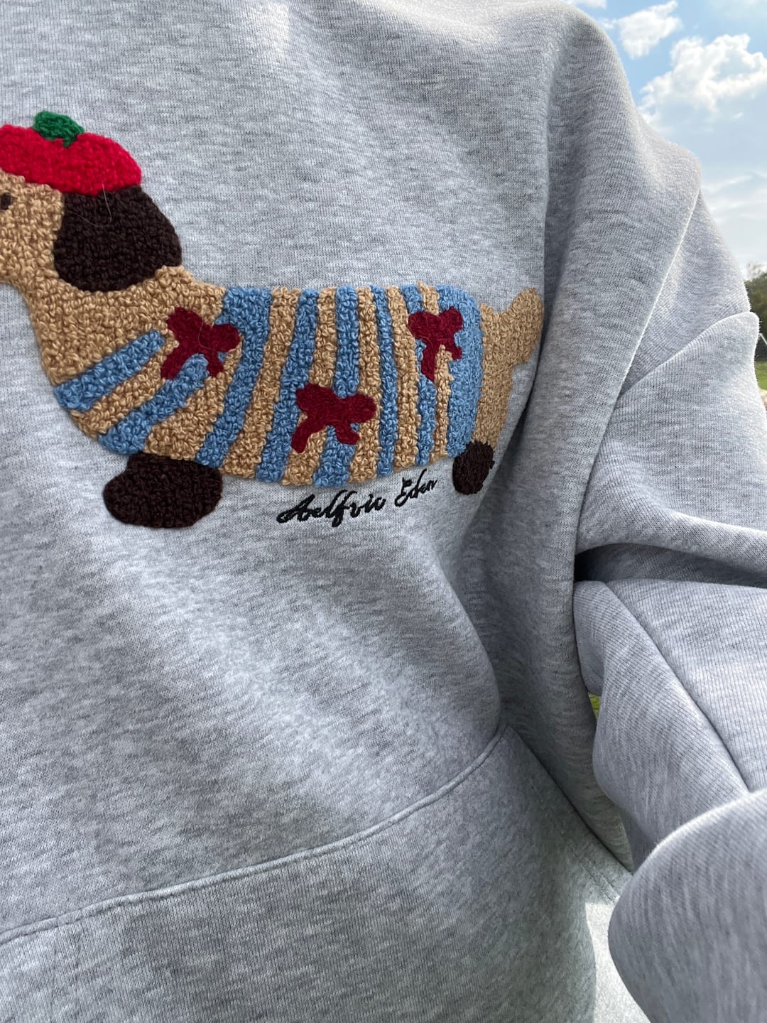 Customer photo review of Aelfric Eden Cartoon Dachshund Hoodie