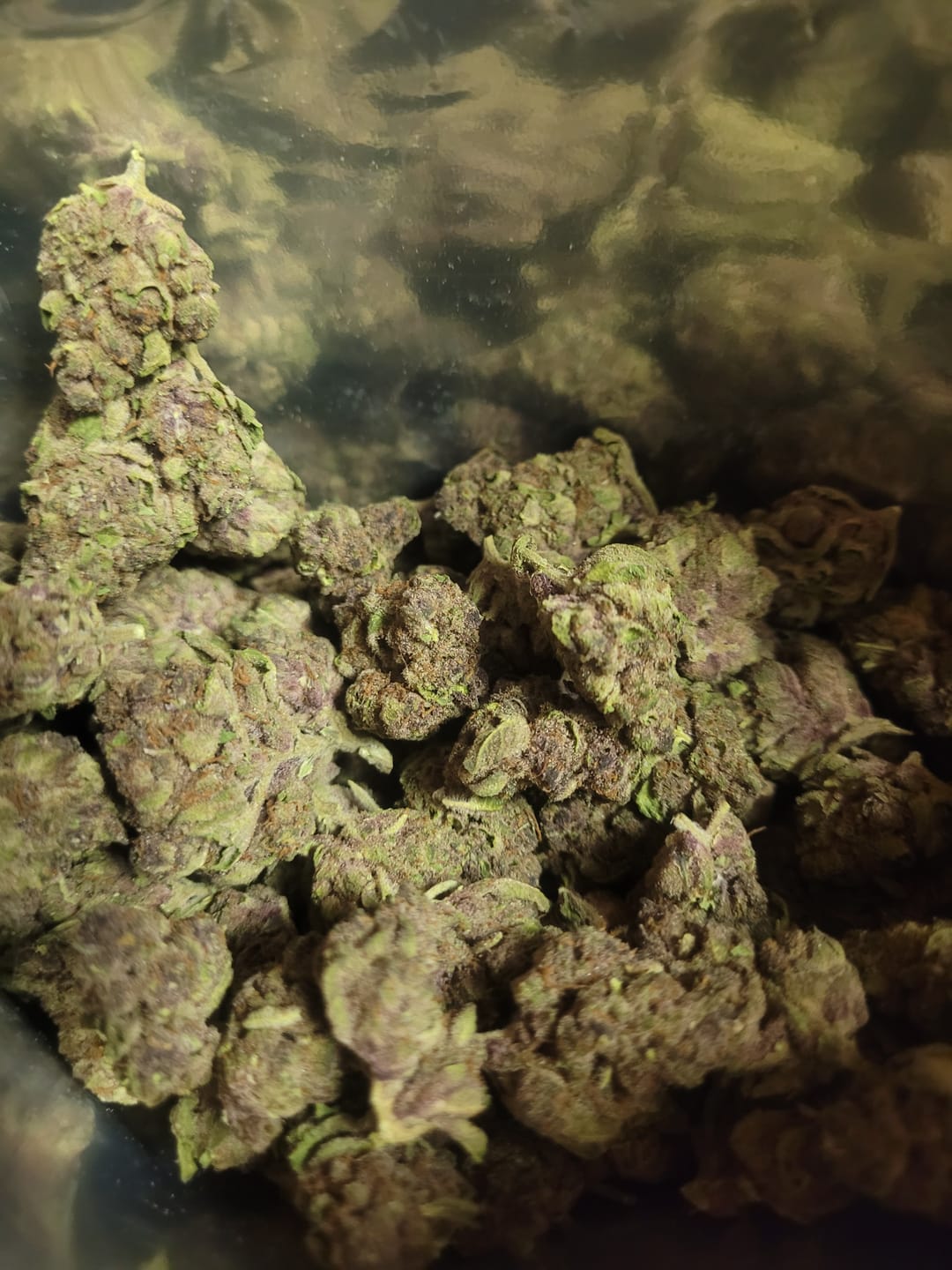 Customer photo review of Tropicana Cherry THCA Flower