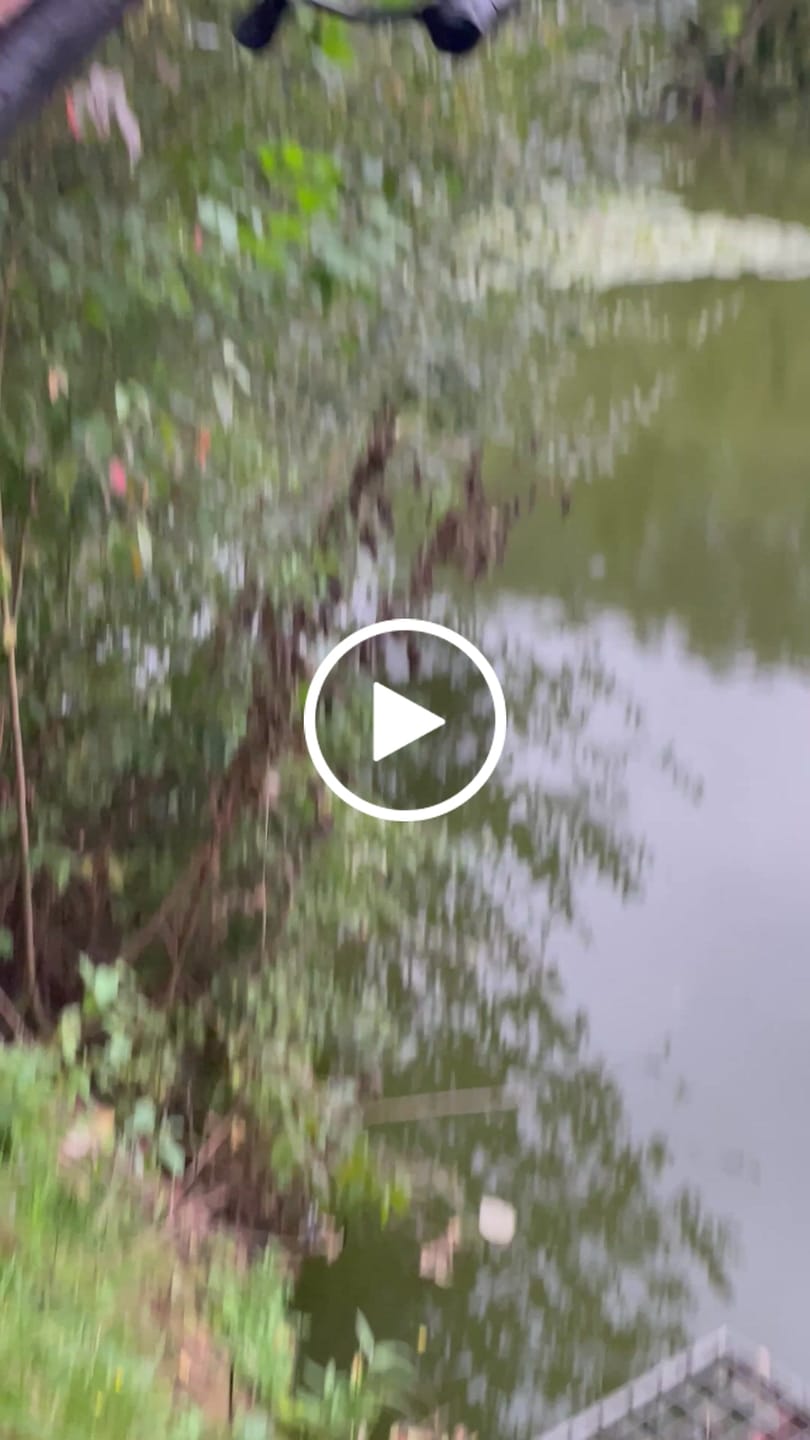 Customer video review of Control Mono 1250m