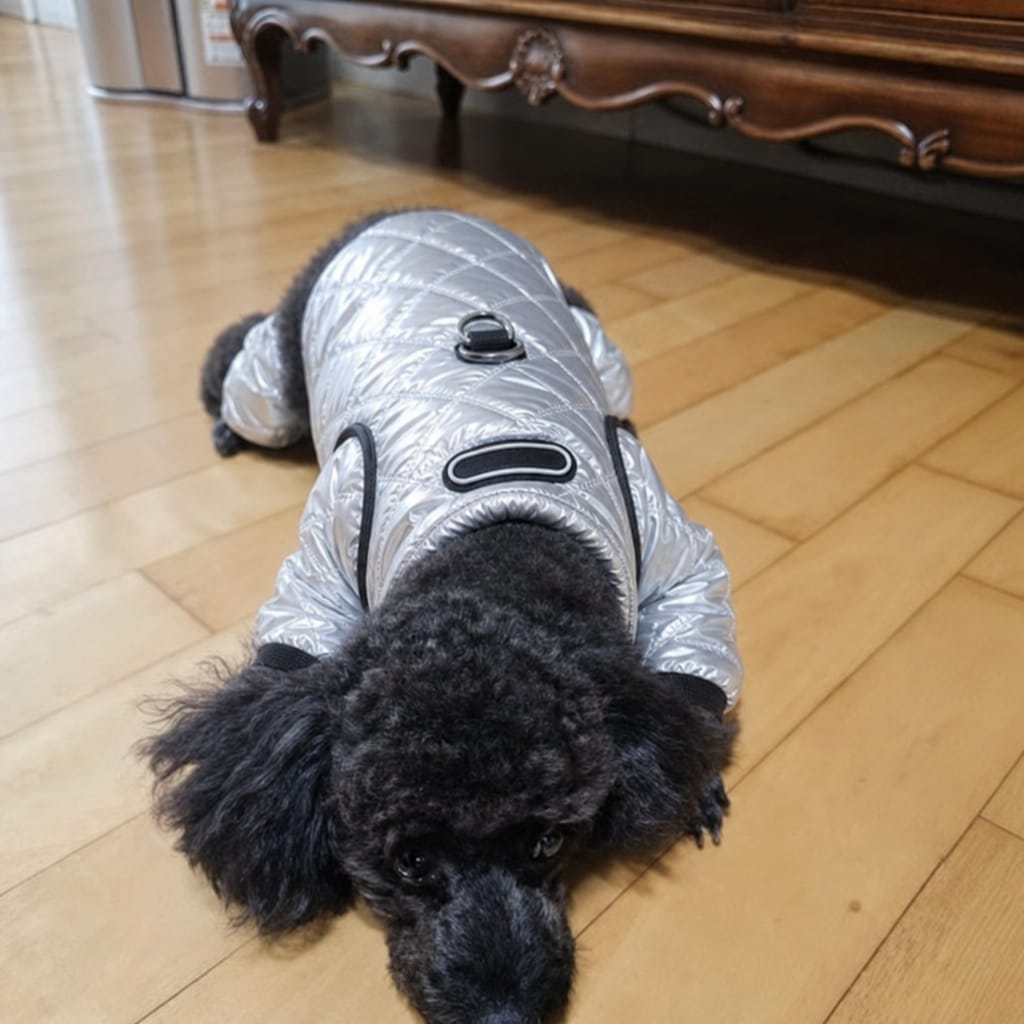 Customer photo review of WUFFEY™ Pet Winter Suit