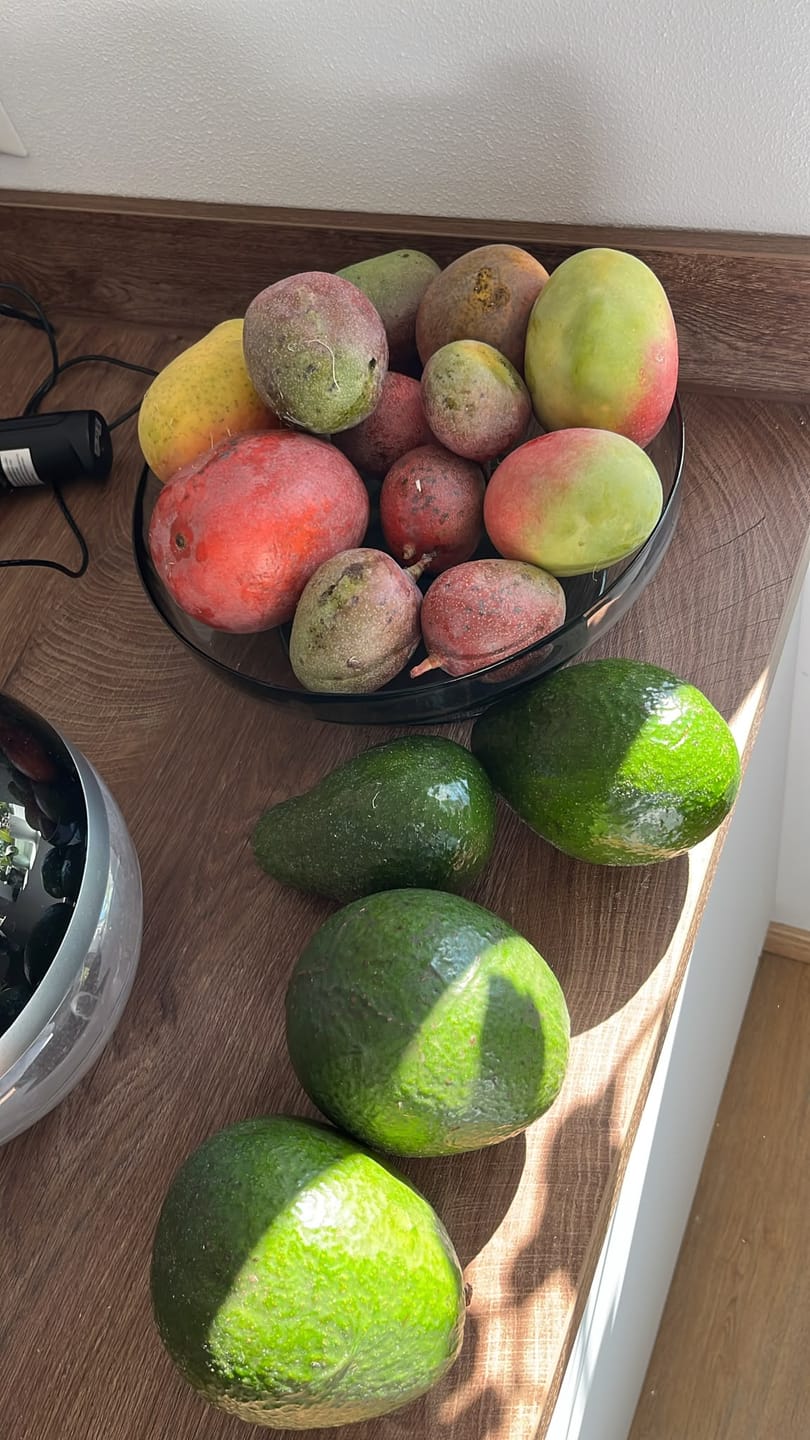 Customer photo review of Ugly Mangobox