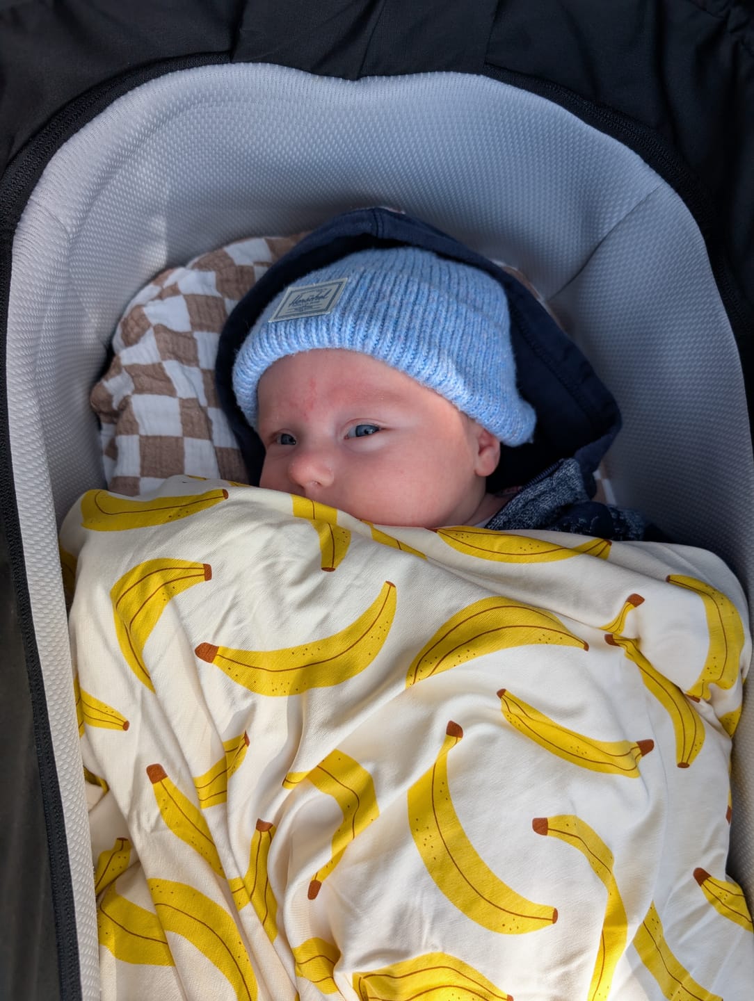 Customer photo review of BB Quilt - GO BANANAS