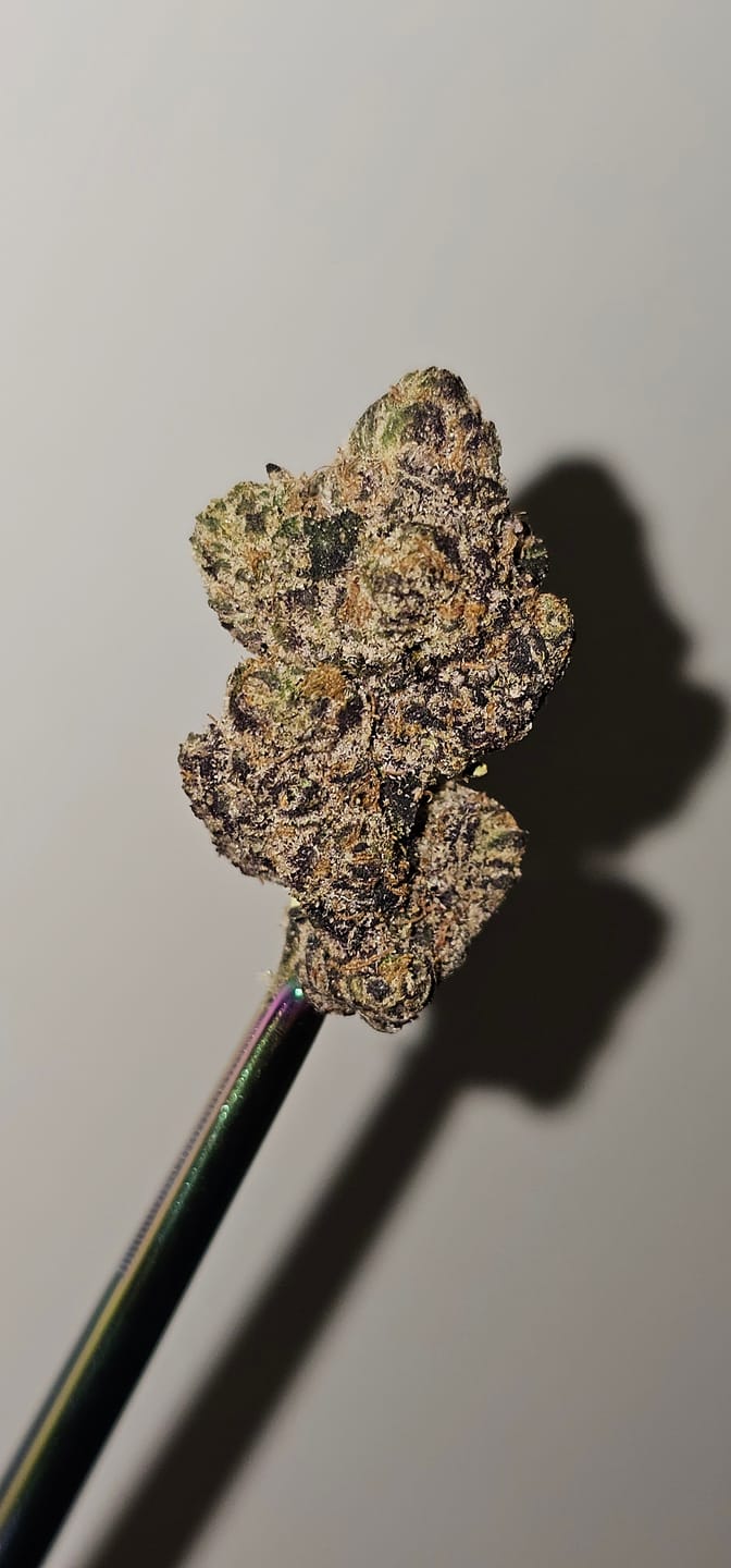 Customer photo review of Sunset Sherbet 8 Grams