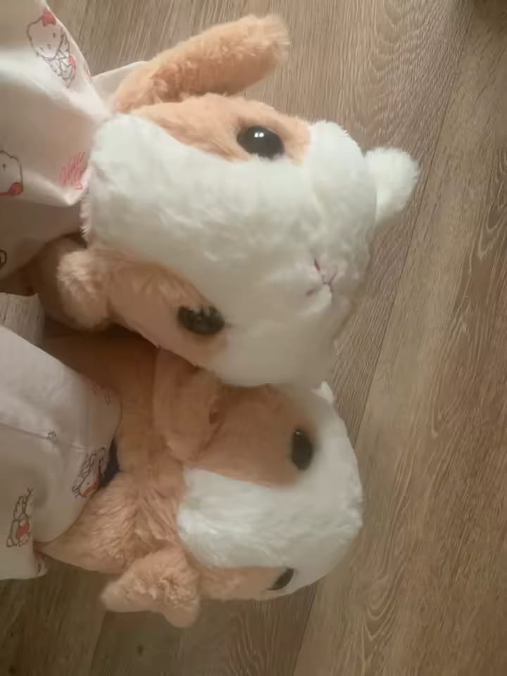 Customer photo review of Chaussons Hamster