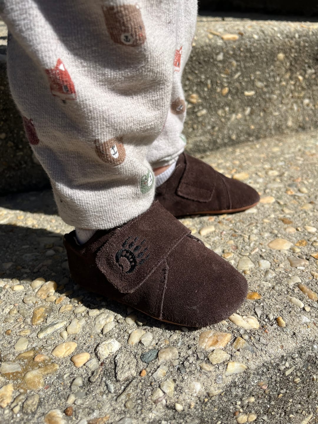 Customer photo review of Cub SV / Cocoa