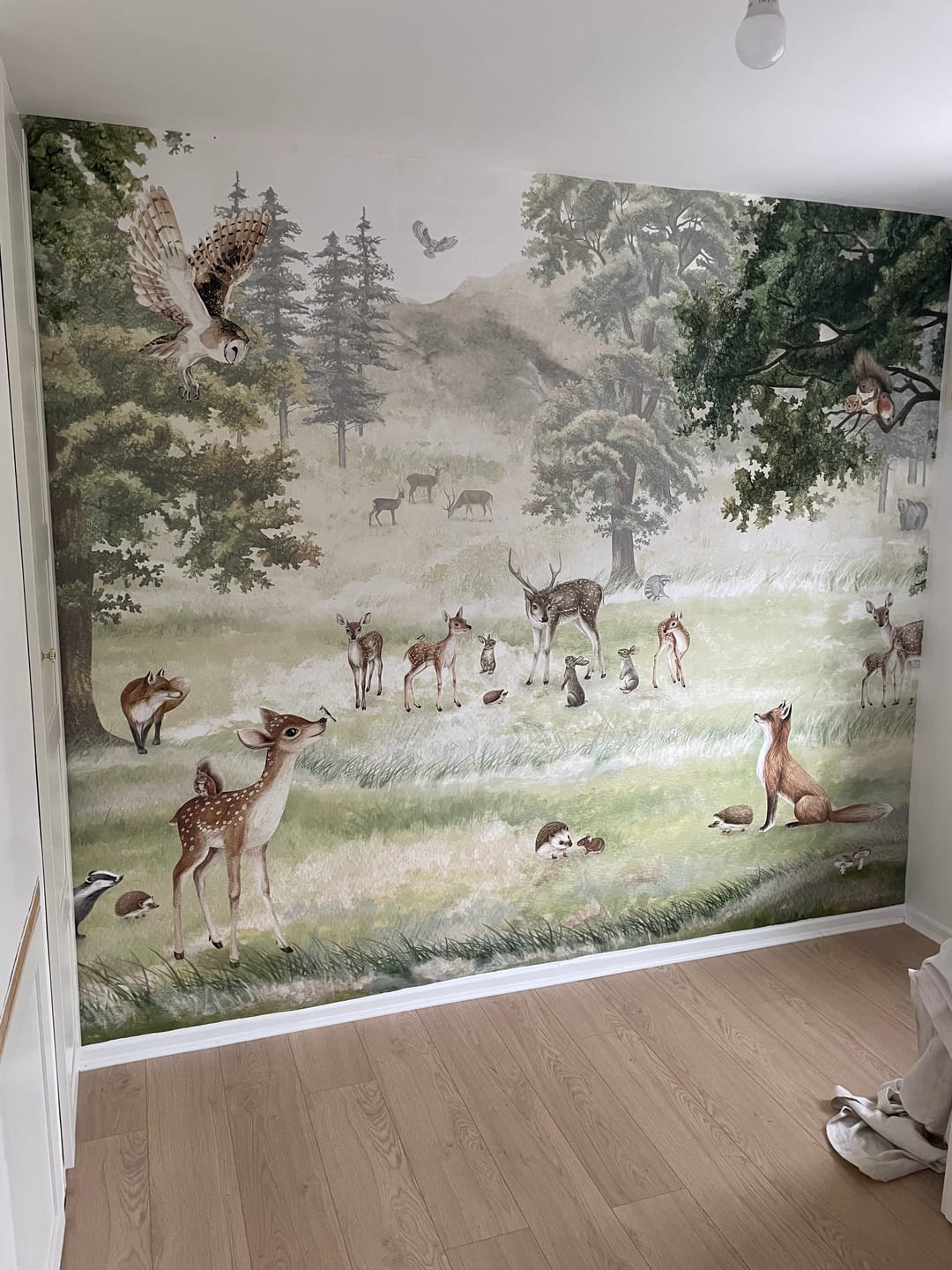 Customer photo review of Forest Fun - Children's Forest Illustration of Woodland Animals Wallpaper Mural
