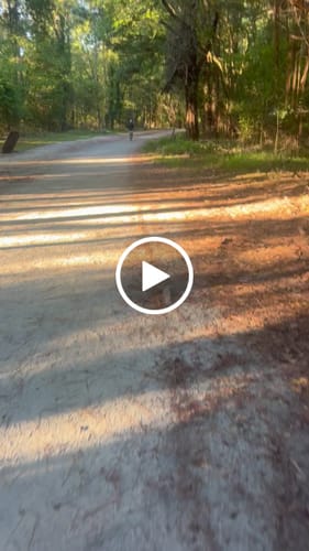 Customer video review of Dogshood ™ No Pull Harness