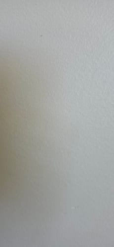 Reviewer's image of a plain, light grey wall, showing no visible product.