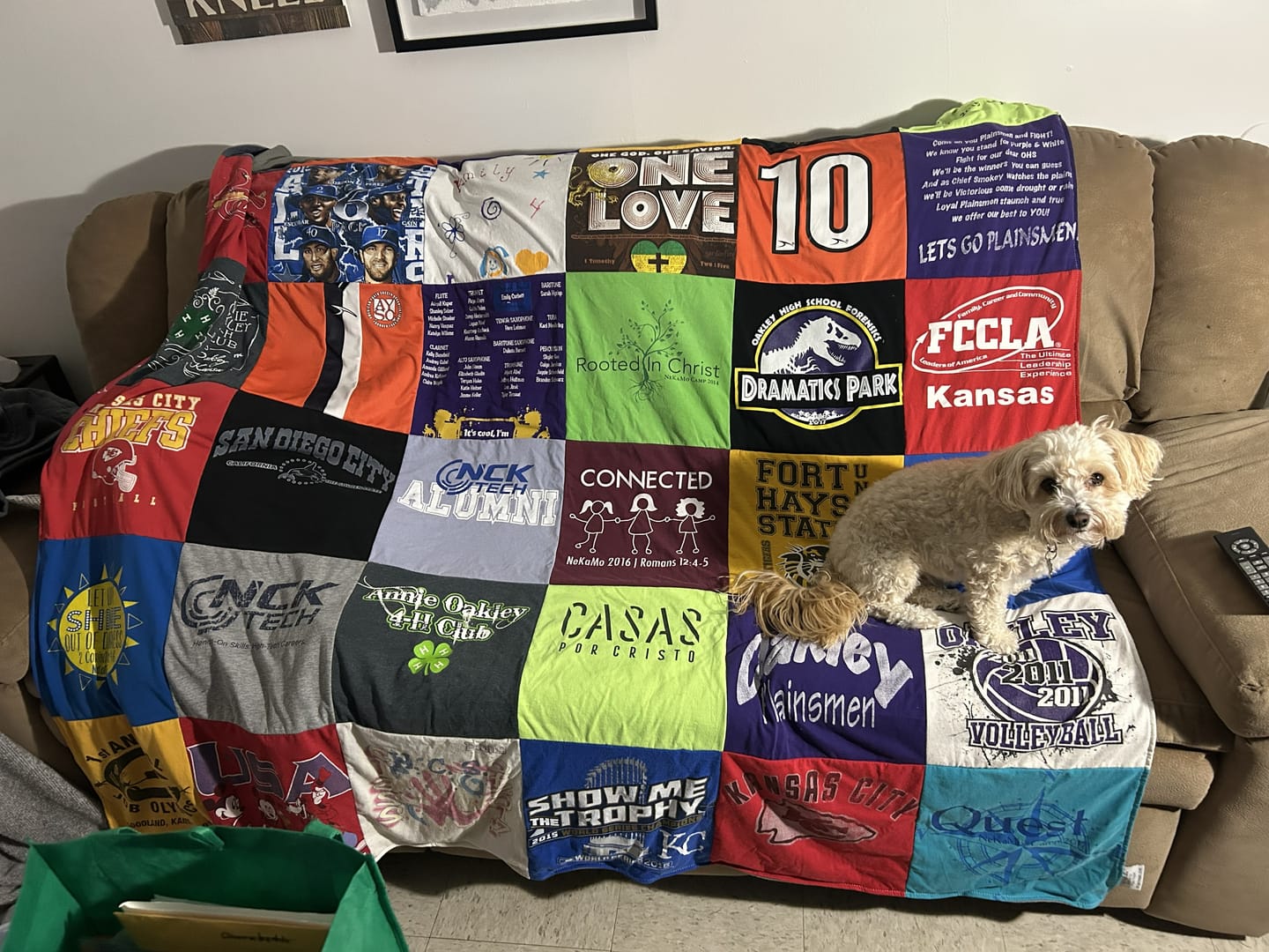 Customer photo review of Project Repat T-Shirt Quilt