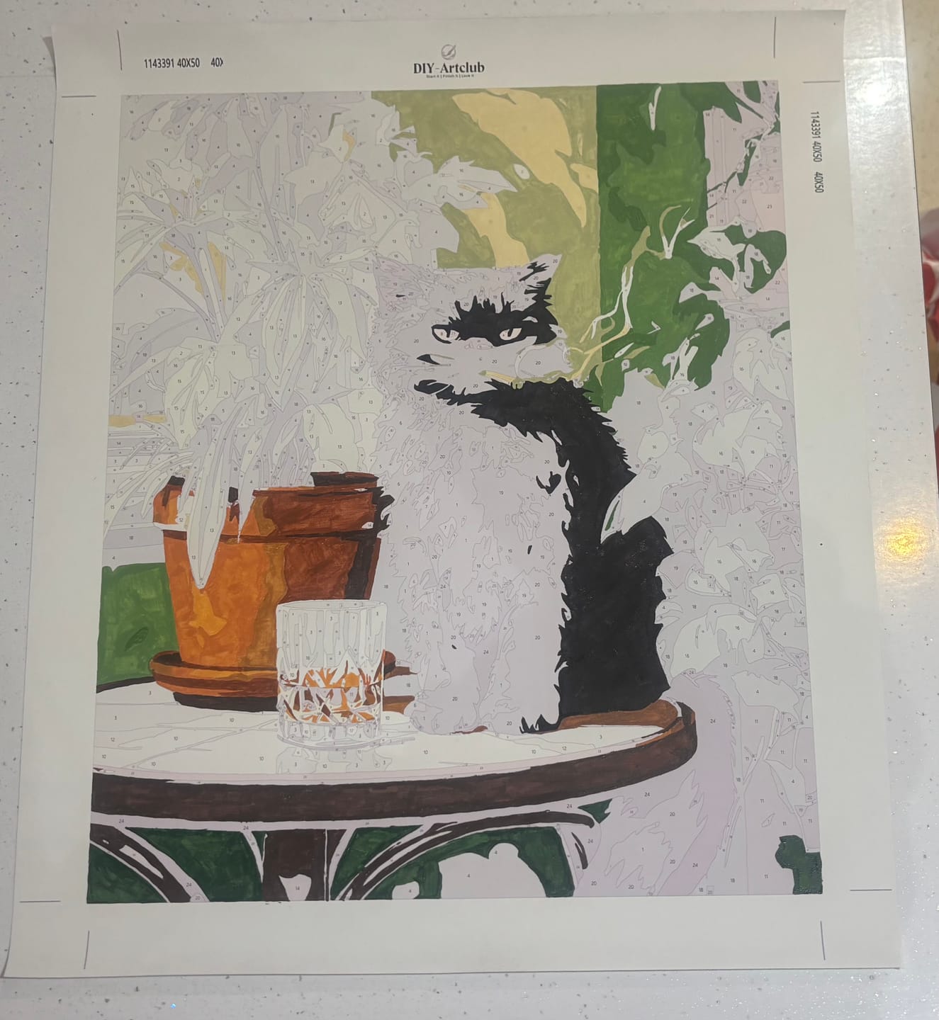 Customer photo review of Grumpy cat | Paint by Number