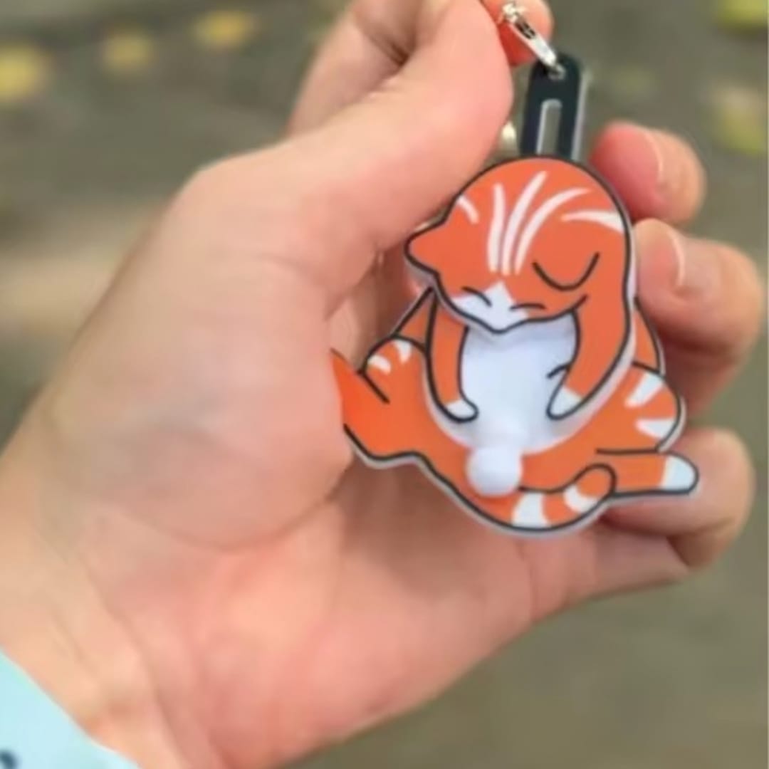 Customer photo review of Mischief Cat - Interactuve Cat Keychain