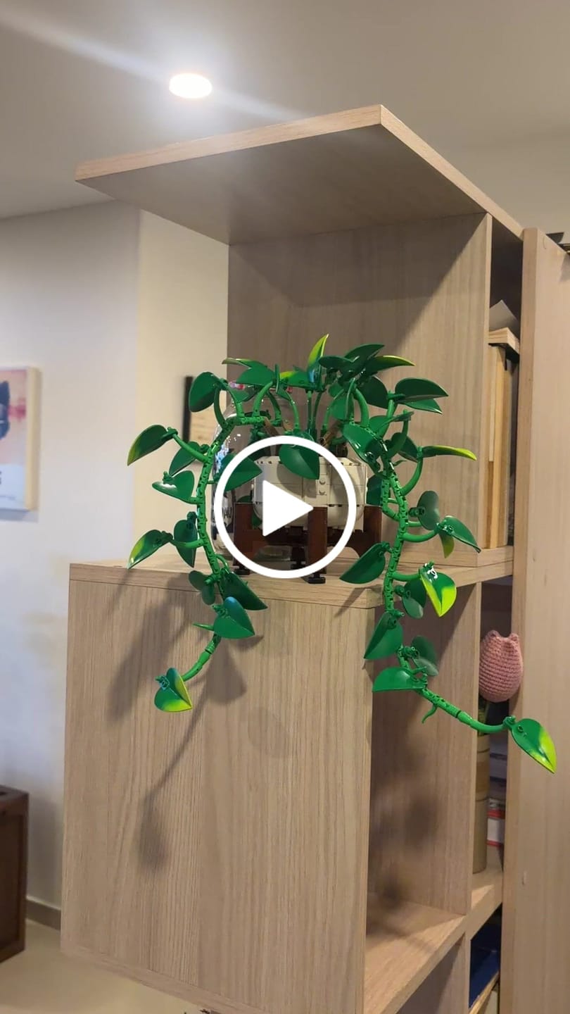 Customer video review of POTO DORADO COLGANTE