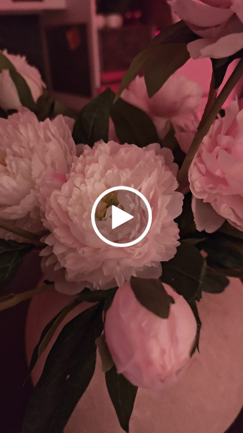 Customer video review of Pivoines - Mélange