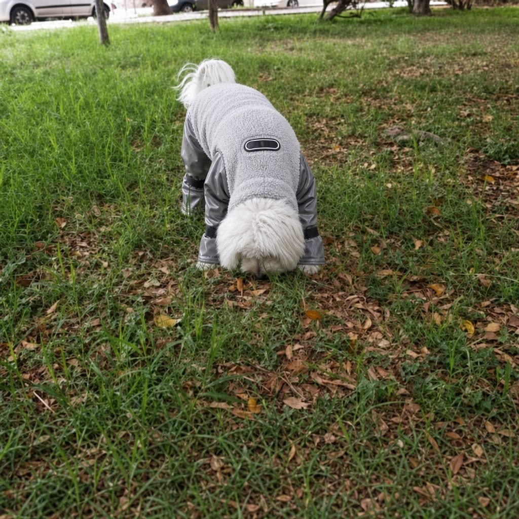 Customer photo review of WUFFEY™ Pet Winter Suit