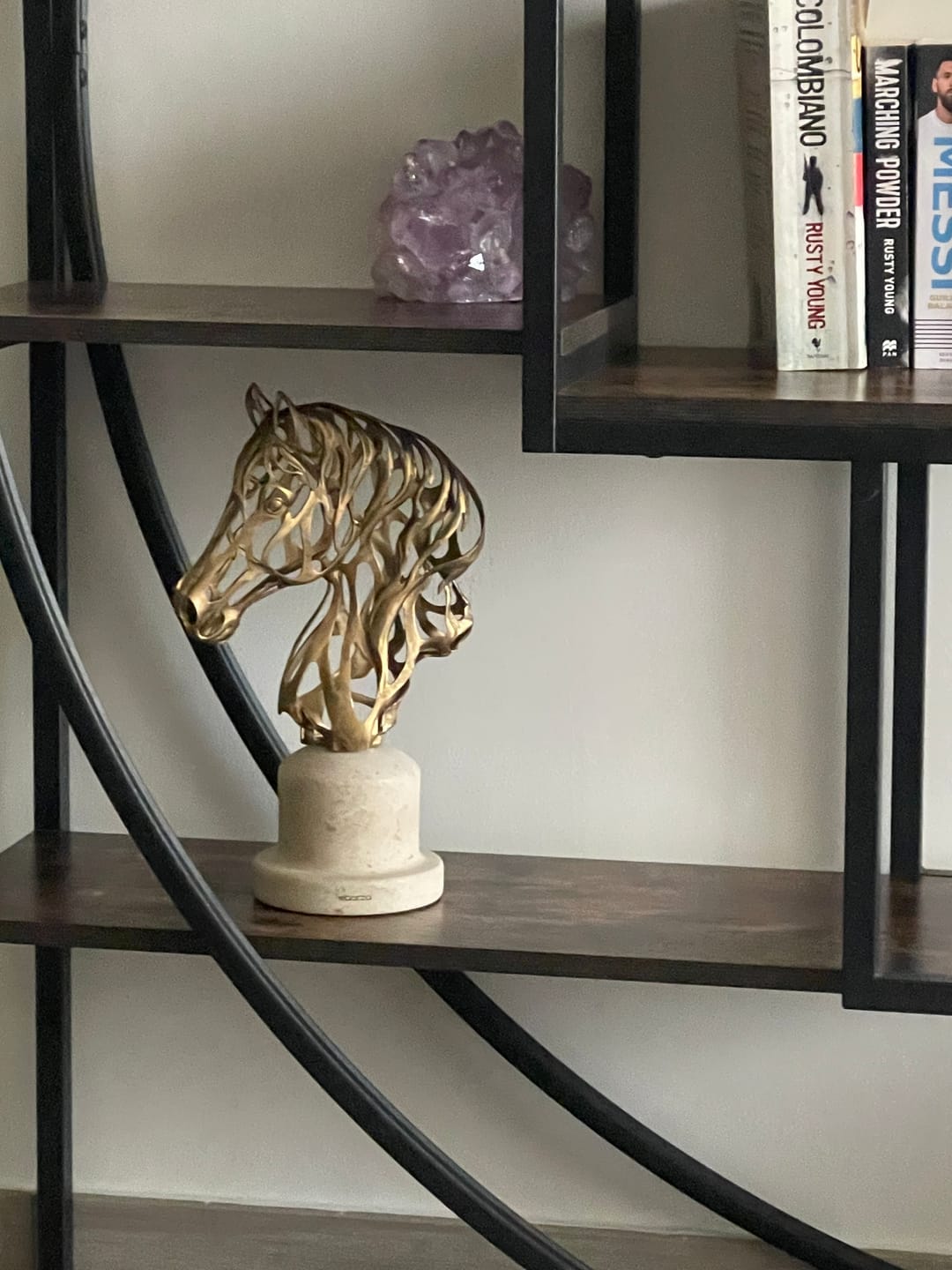 Customer photo review of Horse Head Statue Sculpture - KA4130