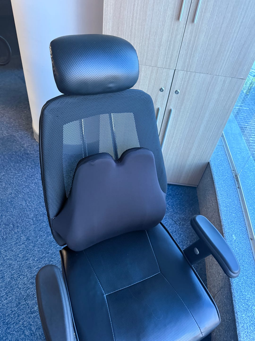 Customer photo review of Ravine - Back Support Pillow
