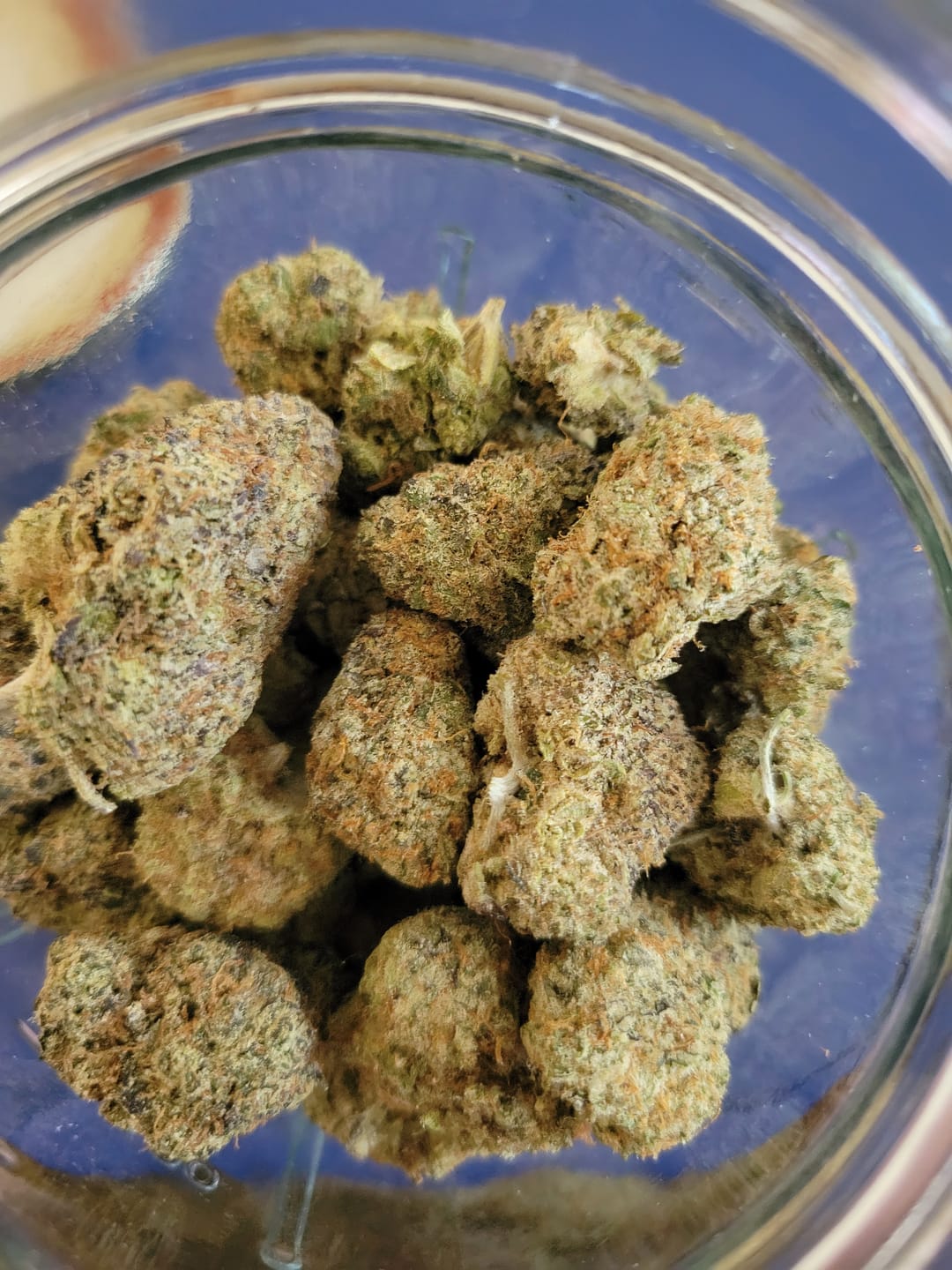 Customer photo review of Baby Yoda #2 - Indoor