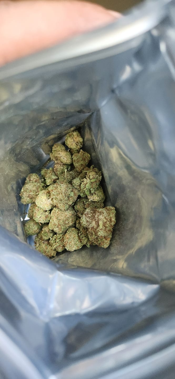 Customer photo review of Acapulco Punch THCA Flower