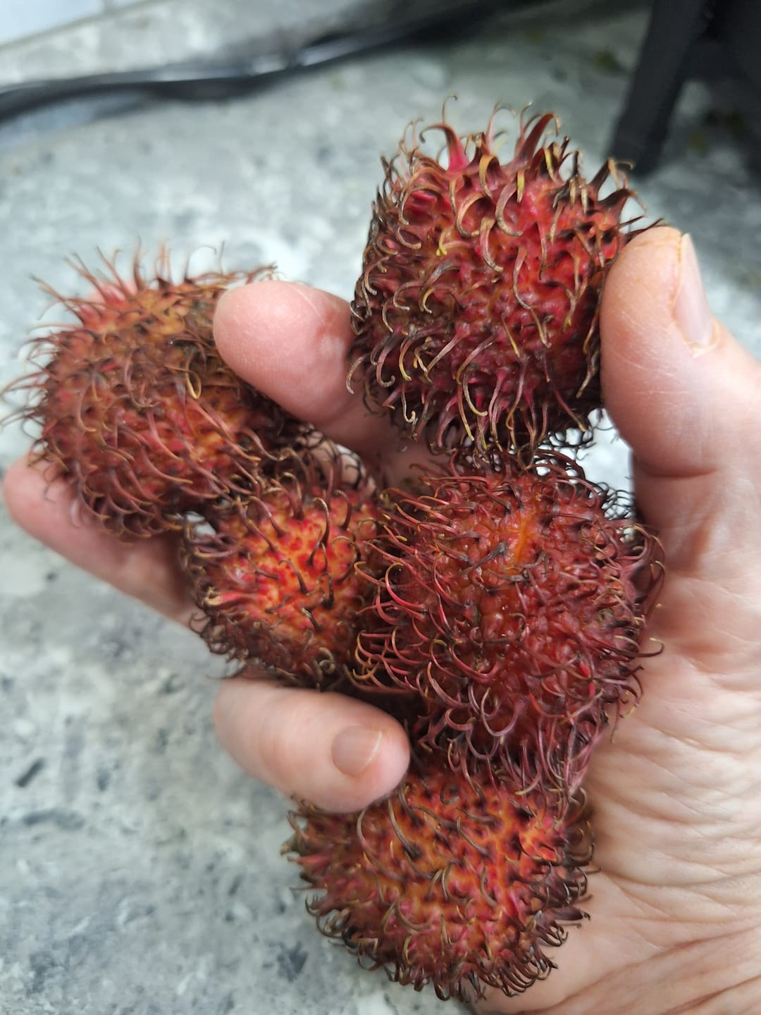 Customer photo review of Rambutan Aktionspreis %